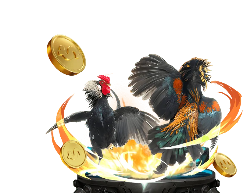 Người chơi đang tự kiểm soát tài chính khi cá cược tại zz88 chính thức